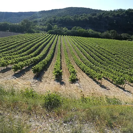 Montloubier Hébergement de vacances